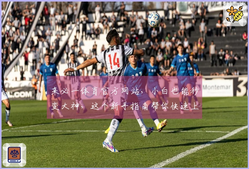 来必一体育官方网站，小白也能秒变大神，这个新手指南帮你快速上手！