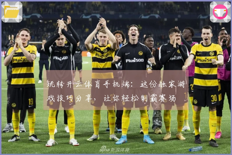 玩转开云体育手机端：这份独家游戏技巧分享，让你轻松制霸赛场