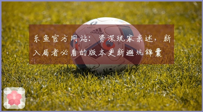 乐鱼官方网站：资深玩家亲述，新入局者必看的版本更新避坑锦囊